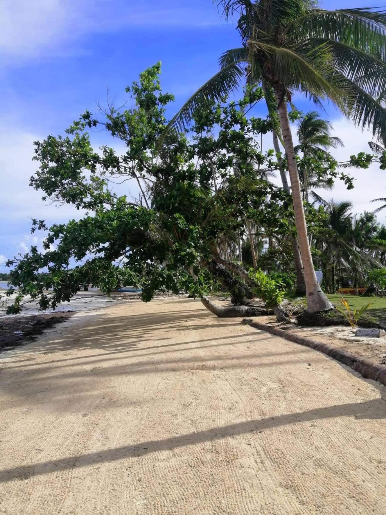 Siargao Longterm Villas - Epbliss General Luna  Bagian luar foto
